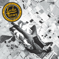 Gecko Turner - Chicken Wire