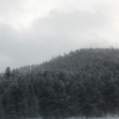 Raven Live @ Real Lounge, Missoula 10.9.15