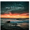 下载视频: Critical Taste - What is Love (remixed)