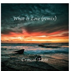 Critical Taste - What is Love (remixed)