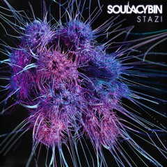 Soulacybin - Siber
