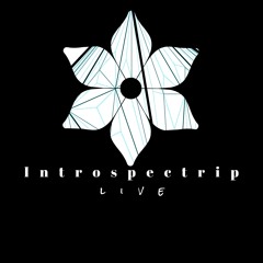 Dum and fast._-__Introspectrip.live