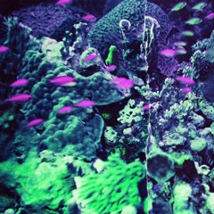 anti-social (BLISS FISHING EP)