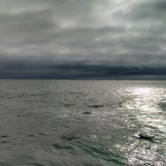 Exsanguin8 - Dreams Don't Come True