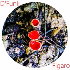 Figaro