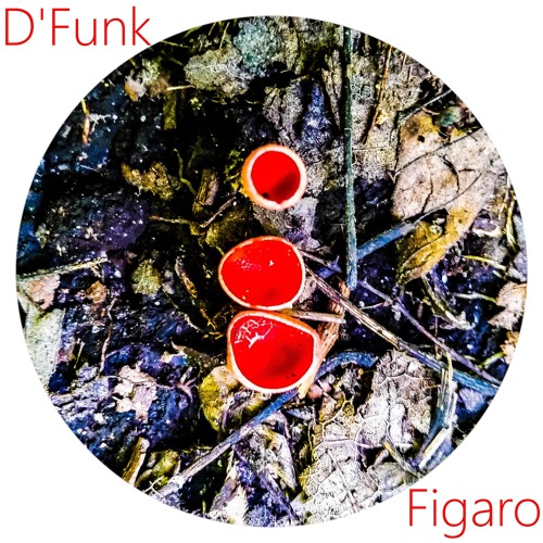 Figaro