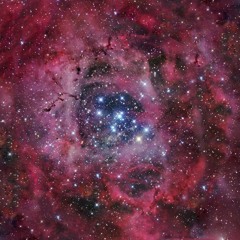 OLSEN TWIN PEAKS - INCANDESCENT 2014