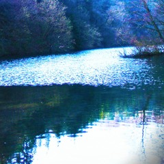 Reverie