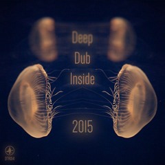 VA - Deep Dub Inside 2015 (DTR014) [FKOF Promo]