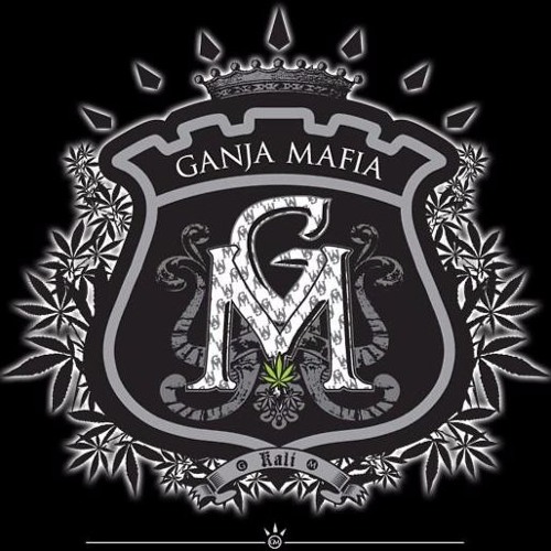 Thumbnail Ganja Mafia Band The Rolla
