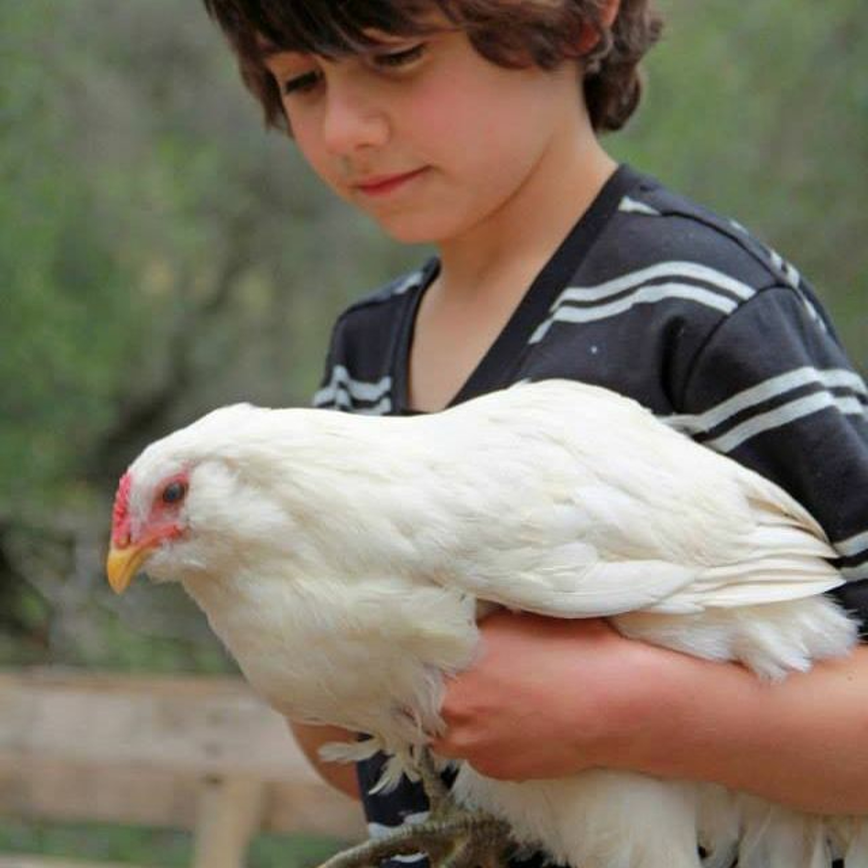 Episode 24 How to Fix California with Permaculture - Matt Powers at the Petaluma Seed Bank