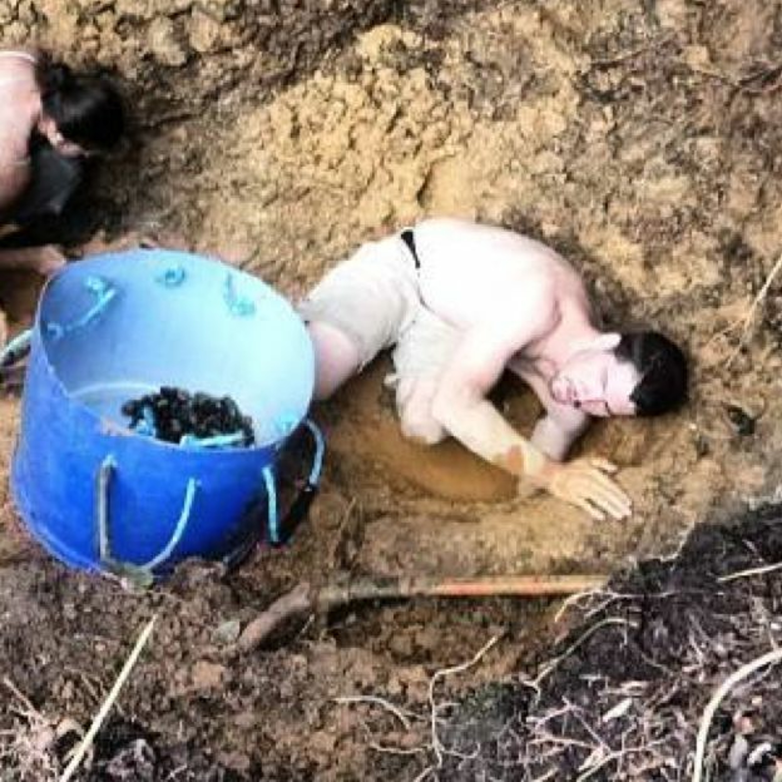 Episode 25 Zach Weiss - Working with Nature