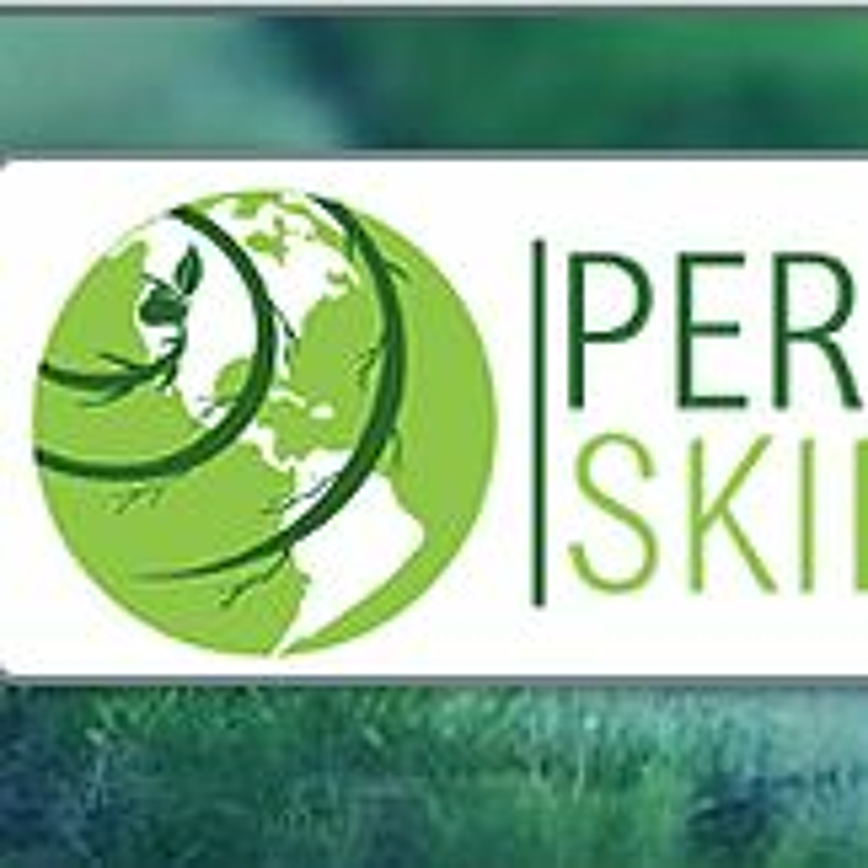 Episode 26 Ryan Johnston & the Permaculture Skills Center & Permaculture Artisans