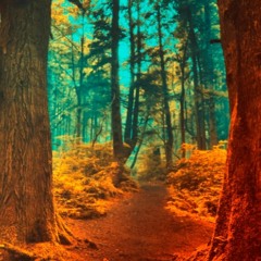 El mercado testaccio - Inti illimani