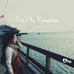 Nori - Don't You Remember