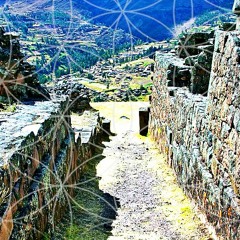 Limpia Limpia Medicina #Ayahuasca #Icaro | http://journeying.ca #Shamanism