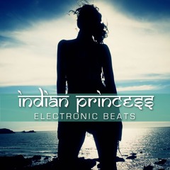 Electronic Beats (Seamus Hadj Mix)