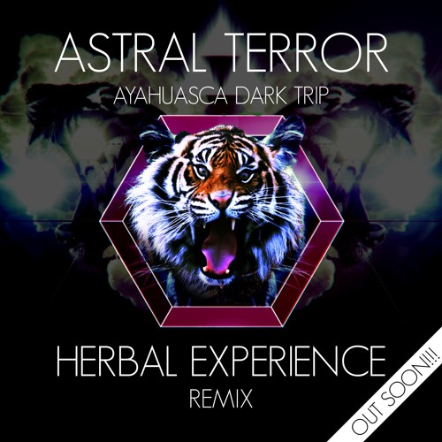 Astral Terror - Ayahuasca Dark Trip (Herbal Experience aka Kräuterbeet Remix) [Teaser]