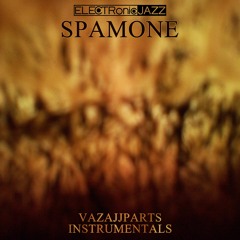 SPAMONE - VAZAJJPARTS (INSTRUMENTALS)(2015)