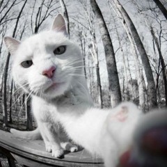 J-Hamz Mashup - I Hate This Part (Pussycat Dolls) vs I'm So Happy (Felguk)