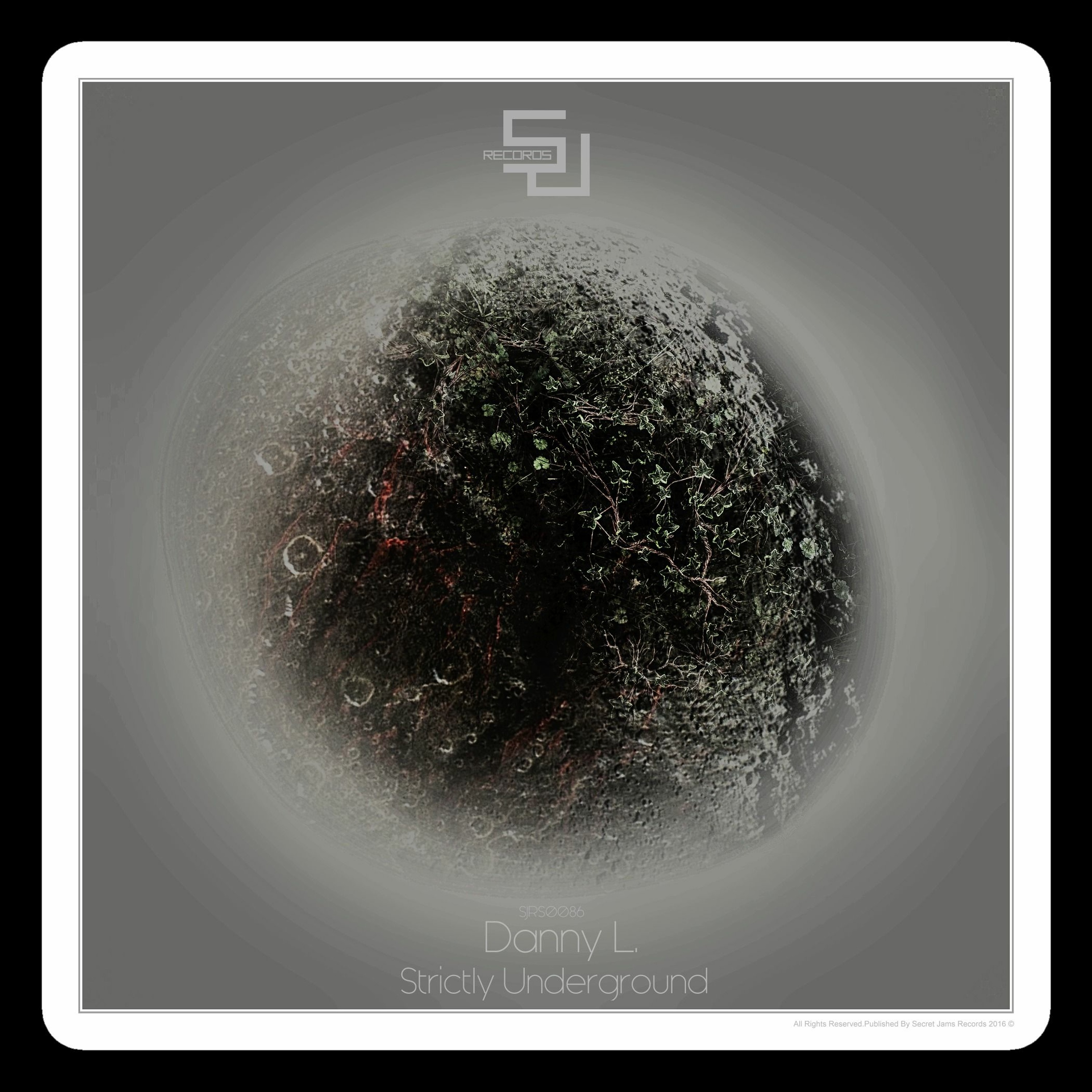 Out Now - Danny L. - Strictly Underground (w.k.Digitize.'s Down Under Remix) [SJRS0086] - 29.01.2016 episode artwork