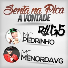 MC Pedrinho e MC Menor da VG - Senta na Pica a Vontade ( DJ G5 ) Lançamento 2016