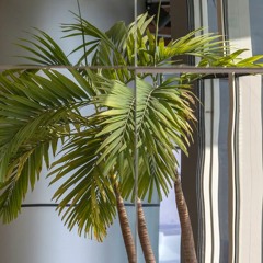 Main Attrakionz - Chuch (remix)