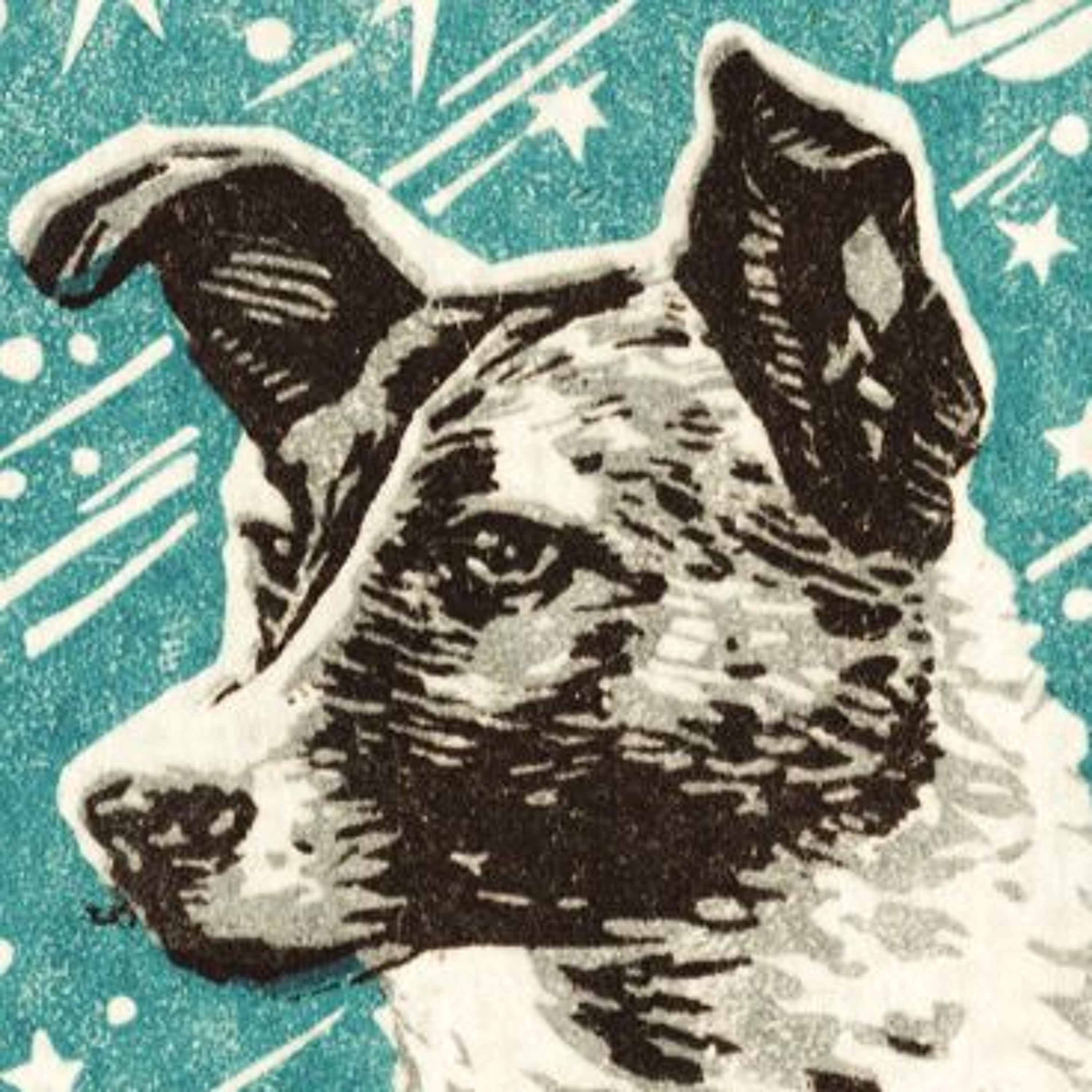 Laika episode artwork
