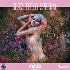 Peña(@PlayBoyPena.mx) y Aragón(@Aragon.mx) - Obvious(feat. teelo)