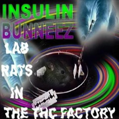 Insulin Bunneez - Truth (1996)