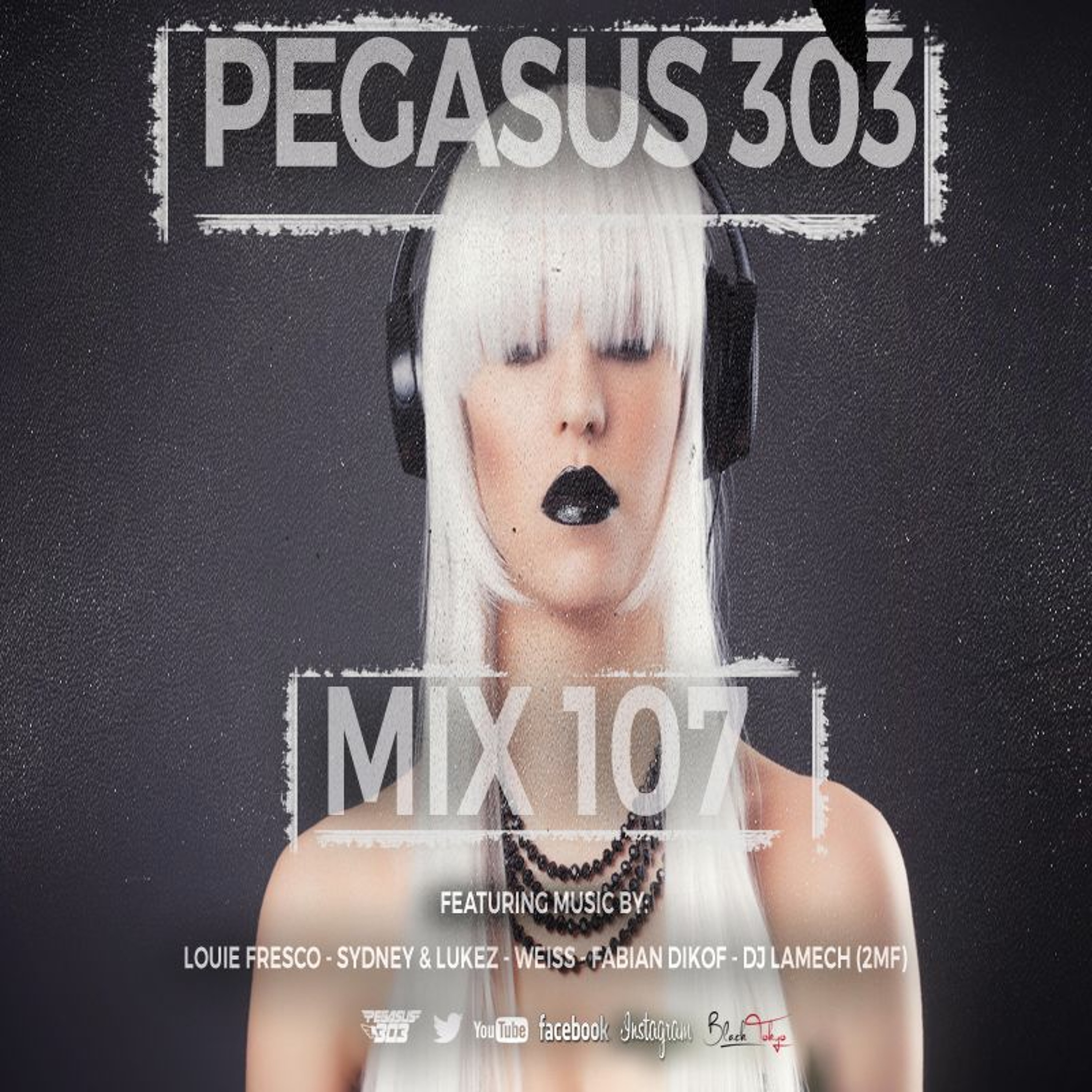 Pegasus 303 (mrclean)