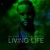 Artwork for Living Life