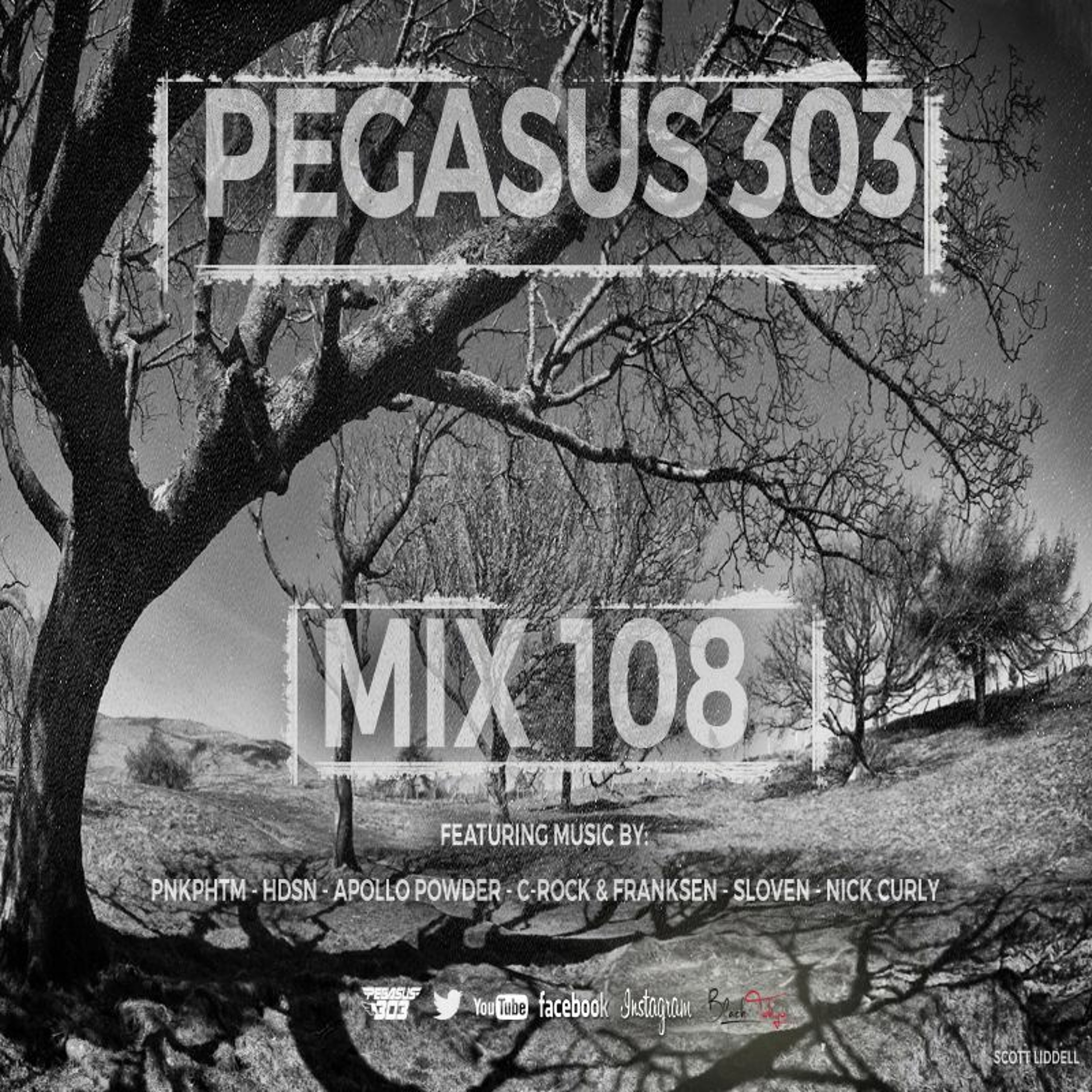 Pegasus 303 (mrclean)