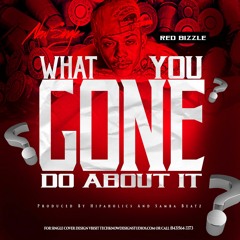 What You Gon Do About It [Produced By Hipaholics x Samba Beats]