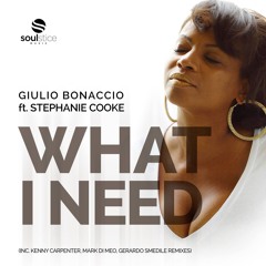 Giulio Bonaccio Feat. Stephanie Cooke - What I Need (Kenny Carpenter Soul Edge Remix)