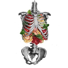 Carnations Prod. By Desmarais