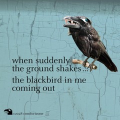 Blackbird