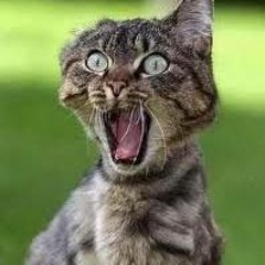 Lagu Anak MAMA - Jangan Marah