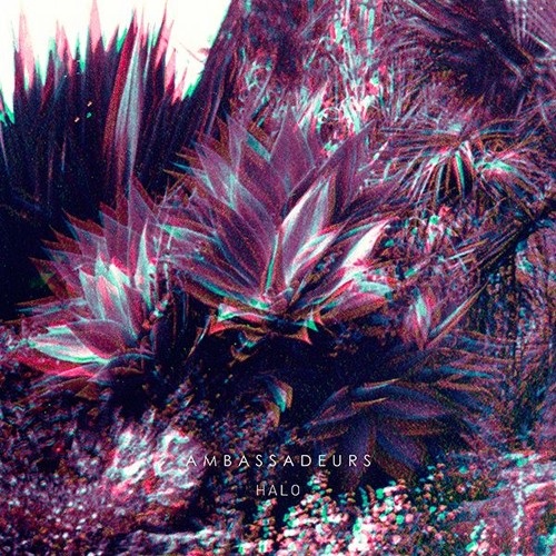 Ambassadeurs - Lotus