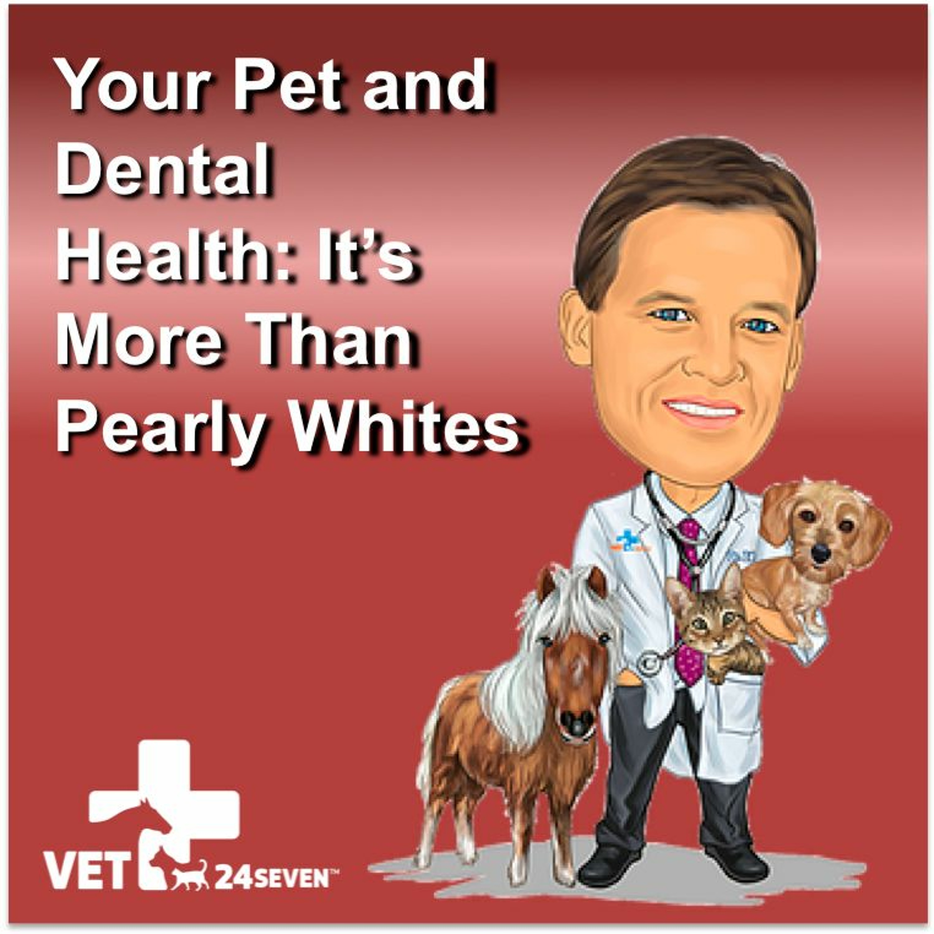 Podcast7 Q5 - Veterinarian's Must Do's For Keeping Your Pet's Teeth Healthy episode artwork