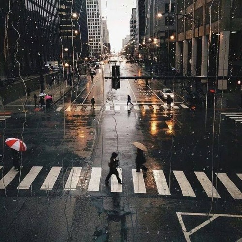 Có ai nói với em rằng anh rất yêu em