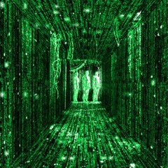 Goa & PsyTrance