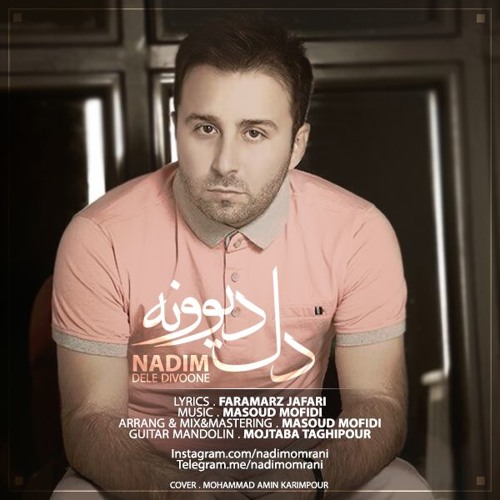 Nadim - Dele Divoone