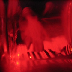 murmuración viperina