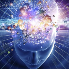 Reversed Logic - Evolution Of The Mind (BMSS Records)