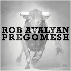 Sirusho - Pregomesh (Rob Avalyan Cover)