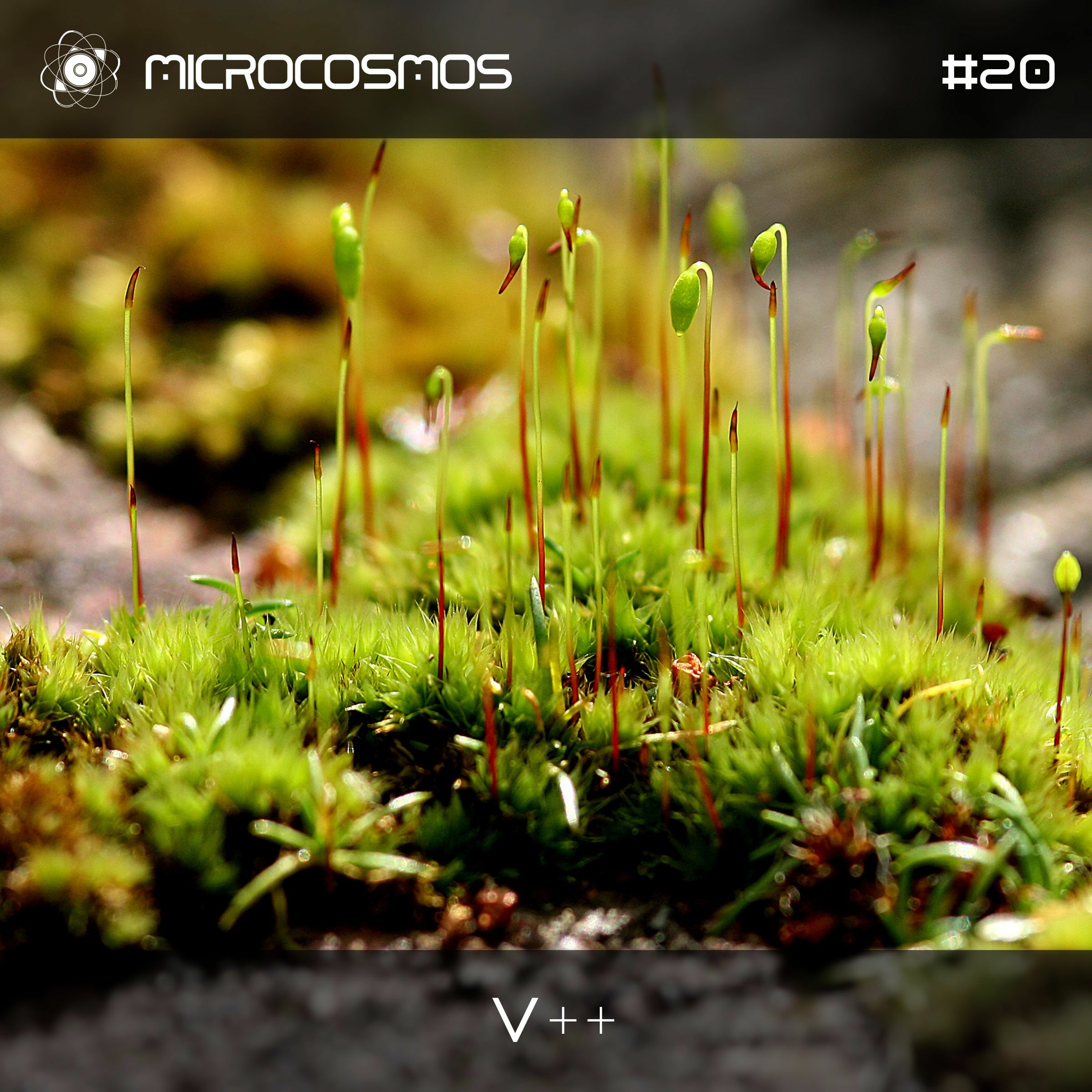 Microcosmos ChillOut and Ambient