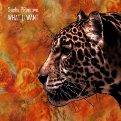 Sasha PRimitive - What U Want ★OUT NOW★ Deep Strips Records