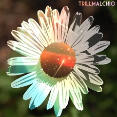 Daisies (Prod. Freddie Joachim