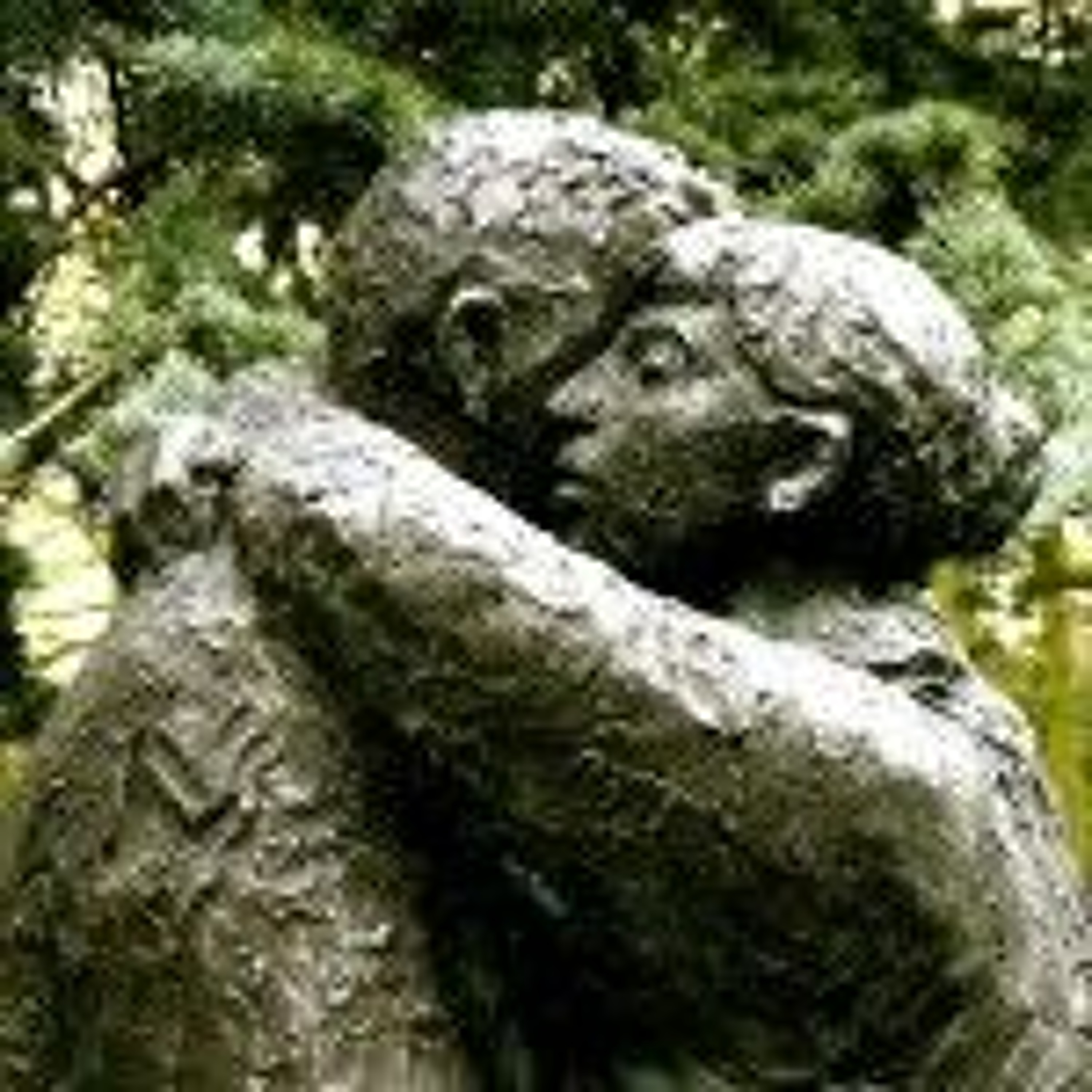 Abrir nuestros corazones a la misericordia de Dios Padre, nuestra acción en el Adviento